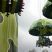 Parachutes