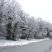 Snow in Newport