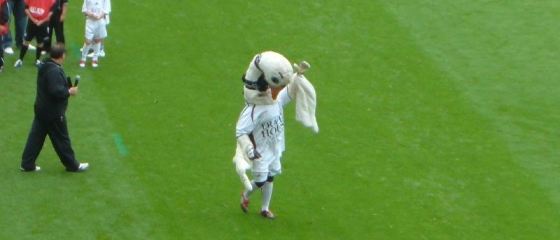 Cyril The Swan